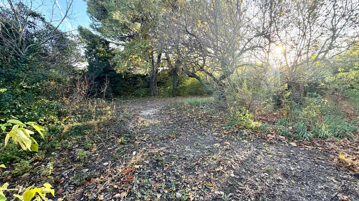 Terrain à ENTRAIGUES-SUR-LA-SORGUE