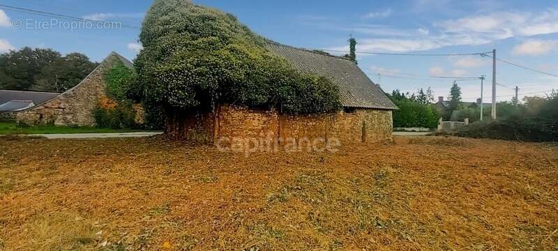Terrain constructible avec grange - photo 3