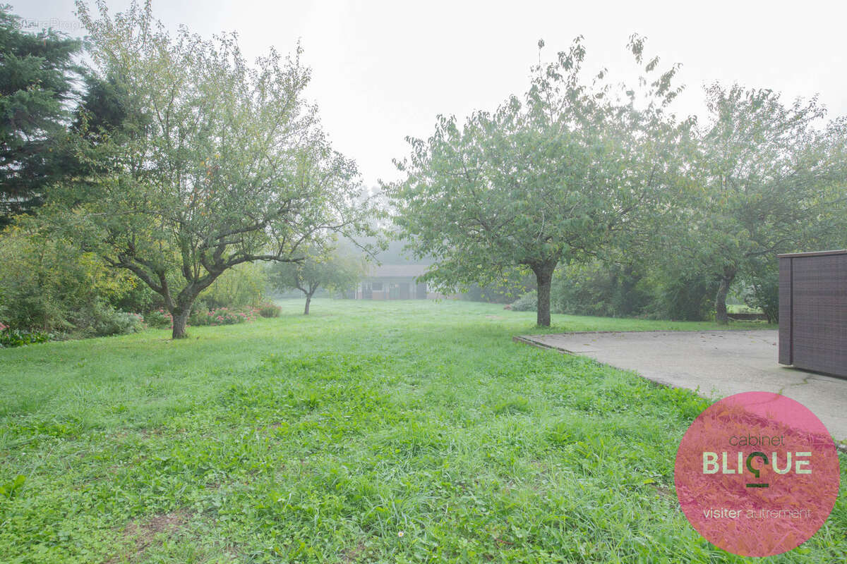 Maison à JEANDELAINCOURT