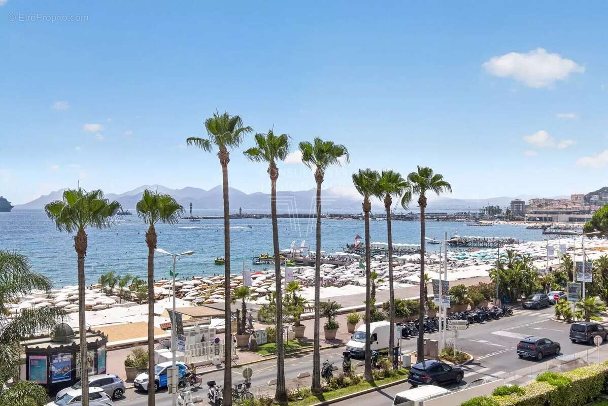 La croisette - superbe appartement/terrasse - photo 27