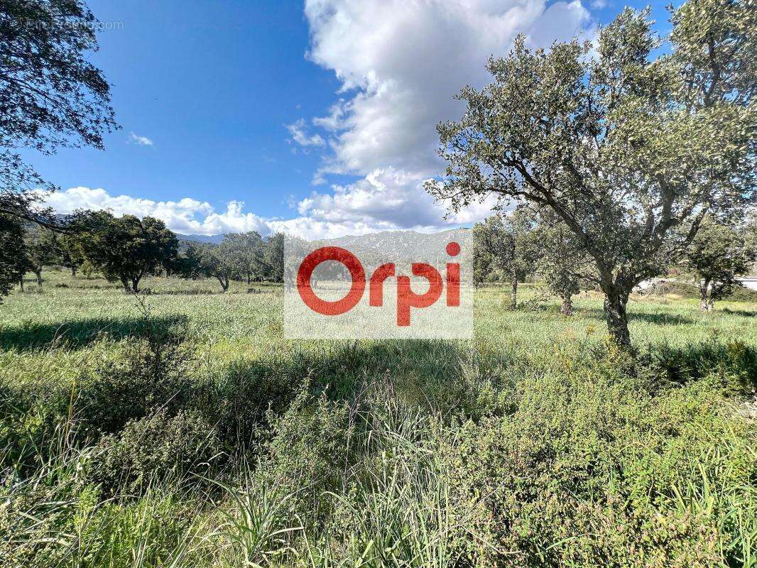 Terrain à PORTO-VECCHIO