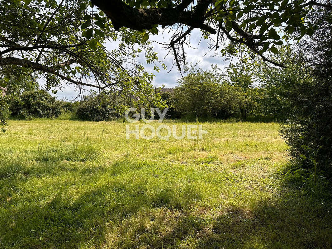 Terrain à SOREL-MOUSSEL