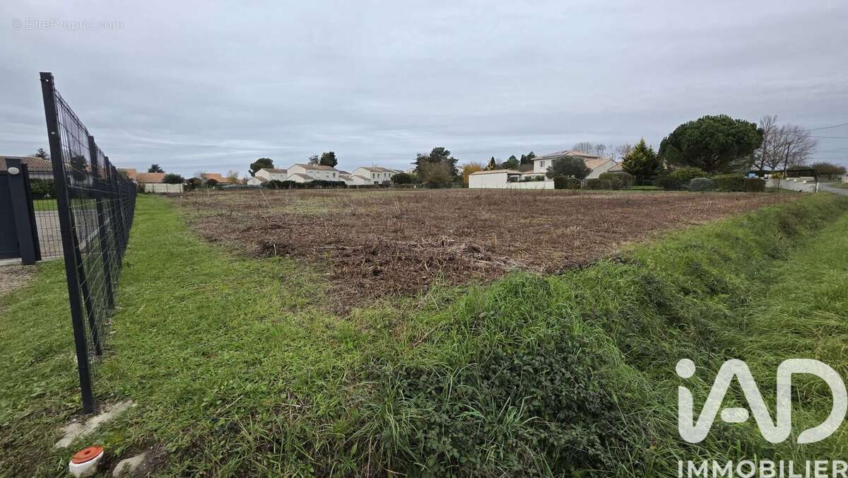 Photo 3 - Terrain à PLASSAC