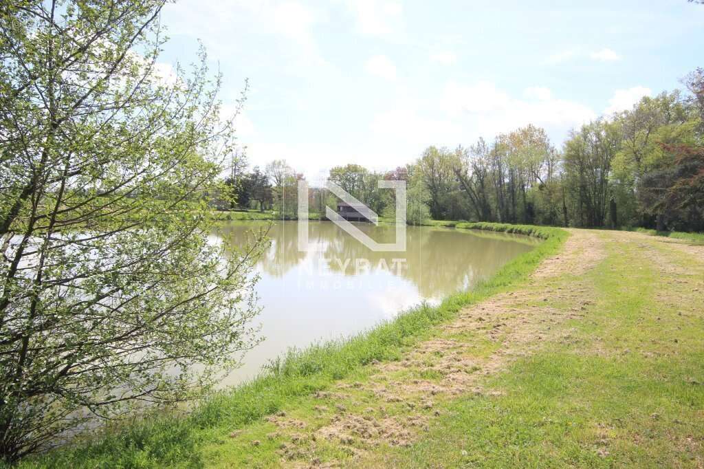 Etang avec sources - photo 7