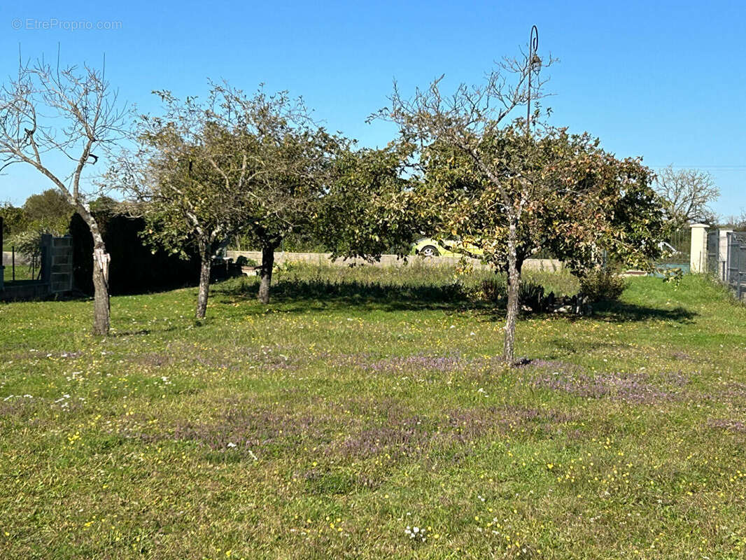 Terrain à SAPIGNICOURT