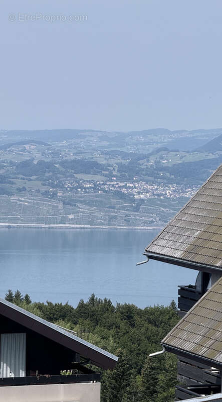 Appartement à THOLLON-LES-MEMISES