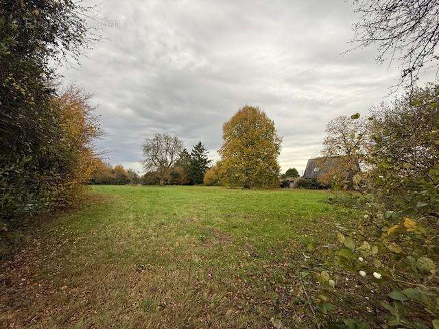 Terrain à LE PLANQUAY