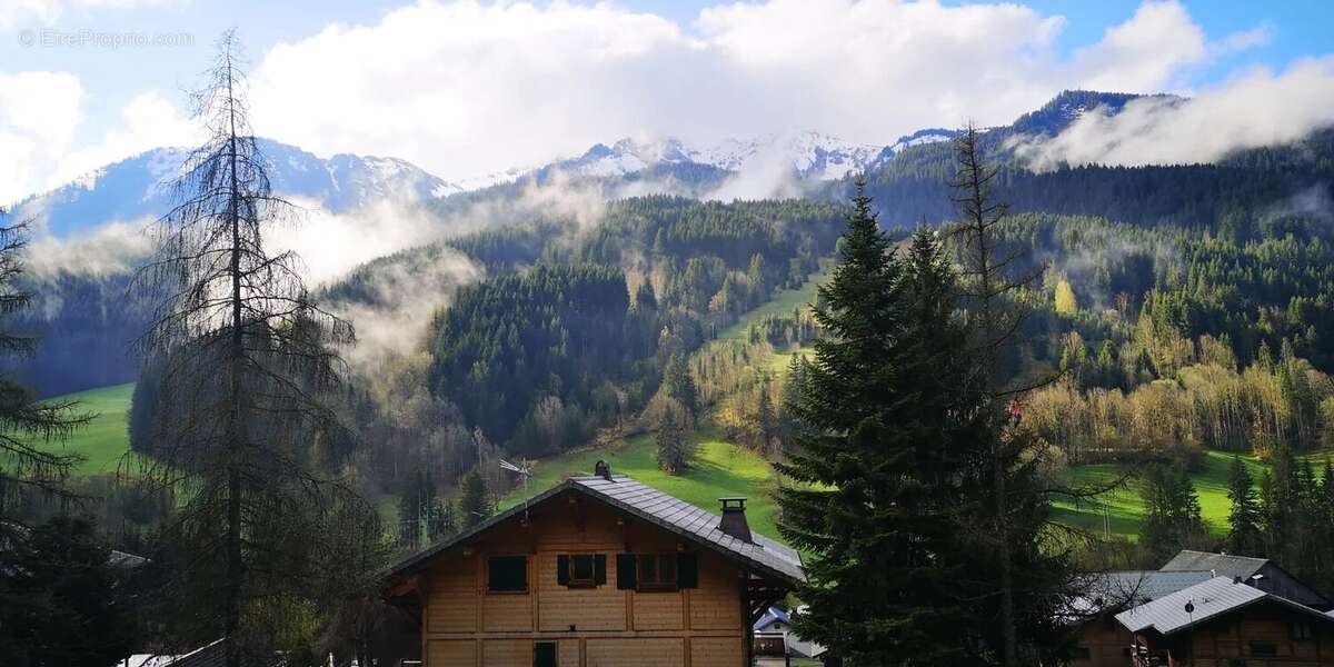 Terrain à ABONDANCE