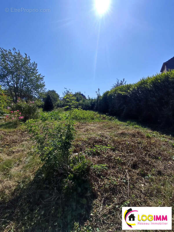 Terrain 695 m² à Maroilles  - photo 7