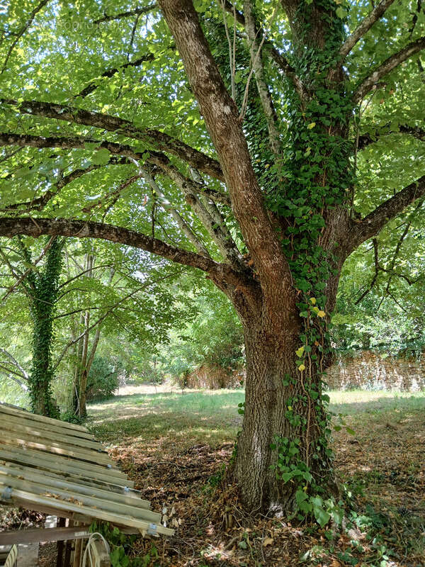 Maison à SAUMANE