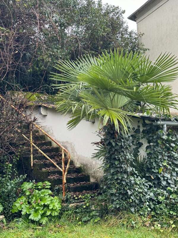 Photo 7 - Maison à BIDOS