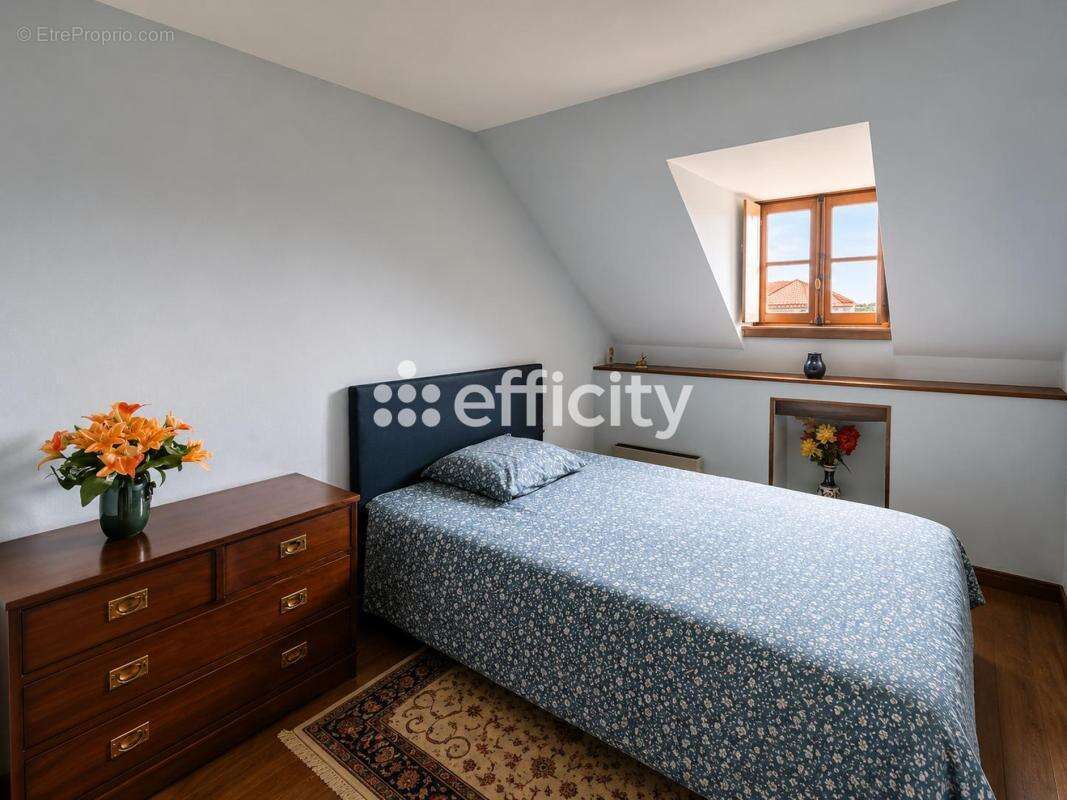 Maison 215 m² à Bierry-Les-Belles-Fontaines  - photo 17