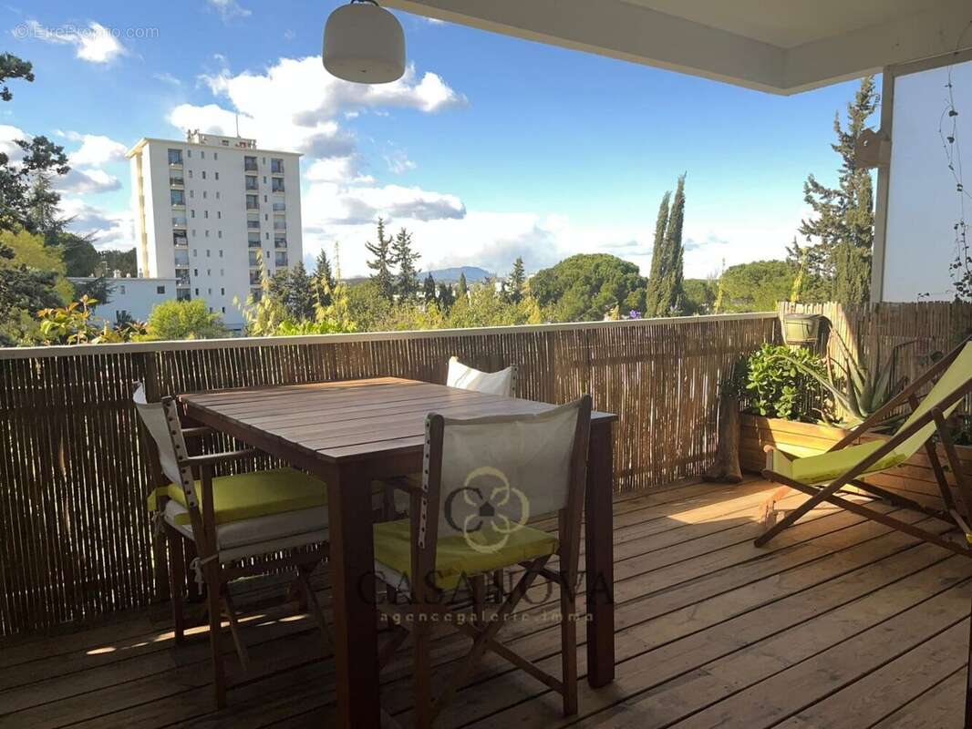 Appartement 3 pièces Montpellier École d'Agriculture  Terrasse, vue Pic Saint-Loup, parking, cave - photo 2