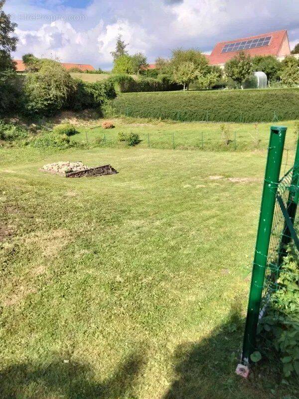 Terrain à SAINT-PATHUS