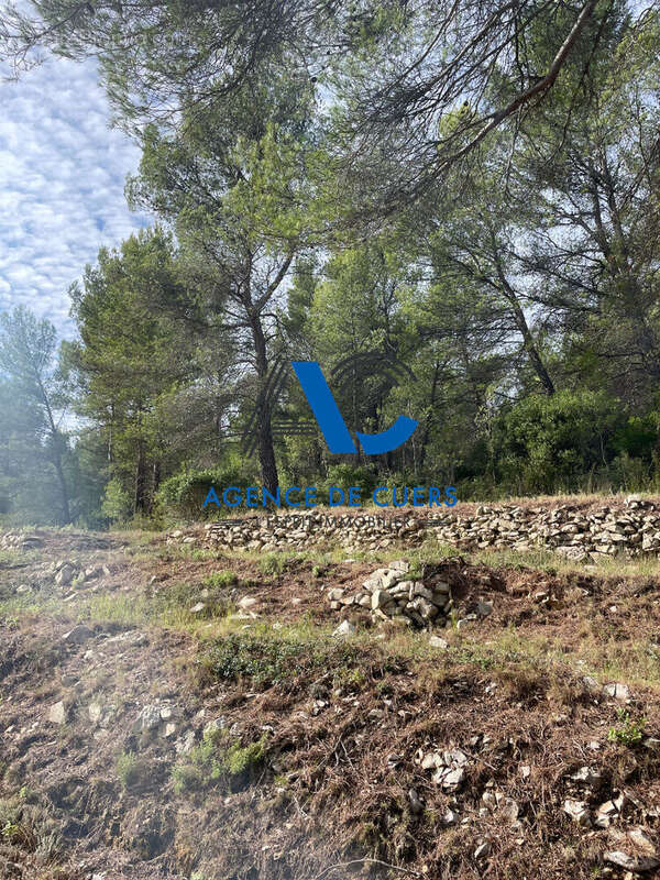 Terrain à SOLLIES-TOUCAS