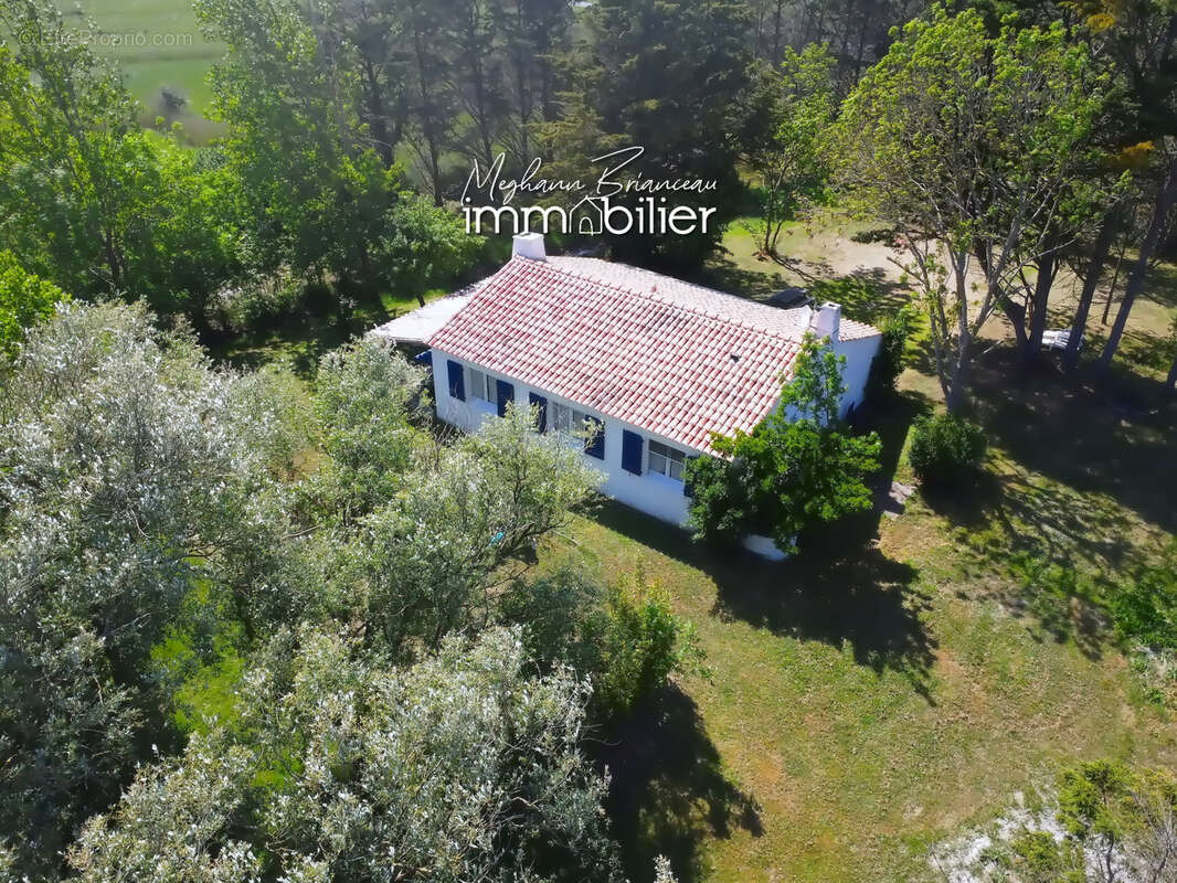 Maison de plain-pied sur plus de 5 000 m2 de terrain à Notre-Dame-de-Monts - photo 2