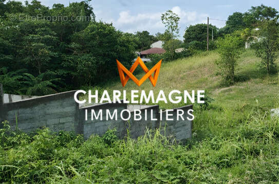 Terrain à PETIT-BOURG