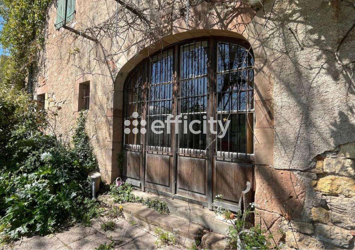 Maison 284 m² à Cordes-Sur-Ciel  - photo 8