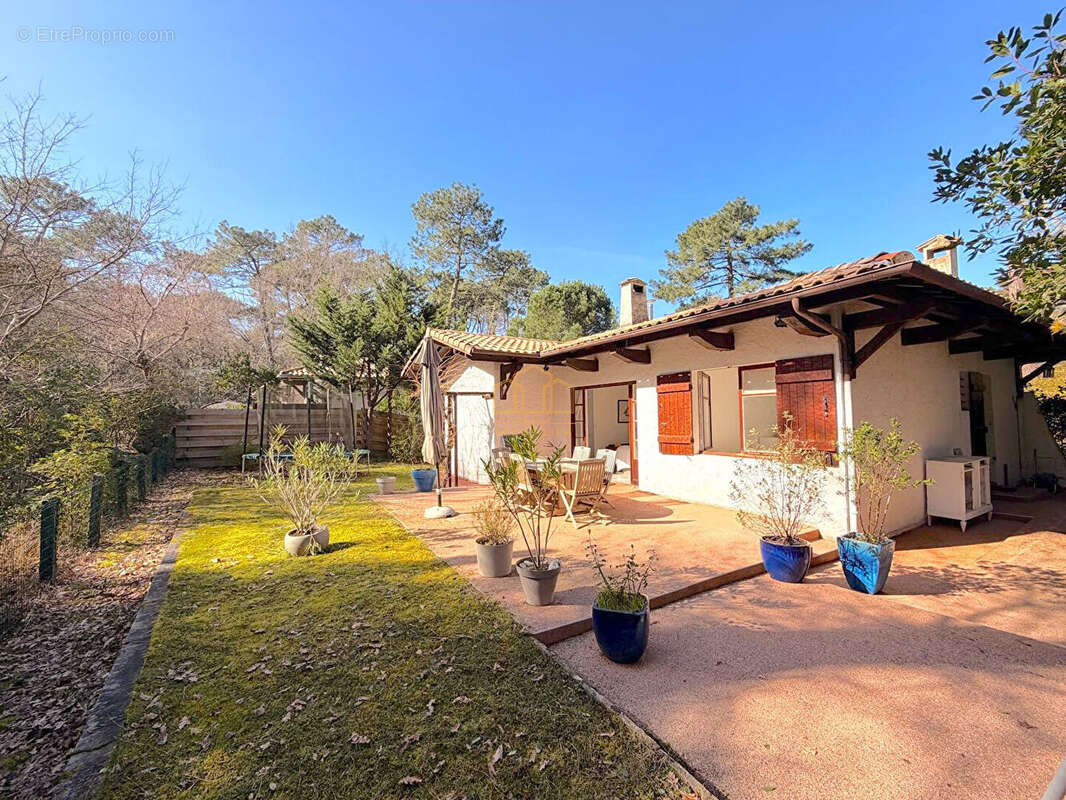 Maison à LE BOUSCAT