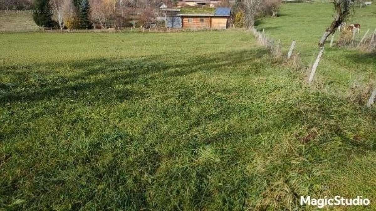 Photo 2 - Terrain à SAINTE-ANNE