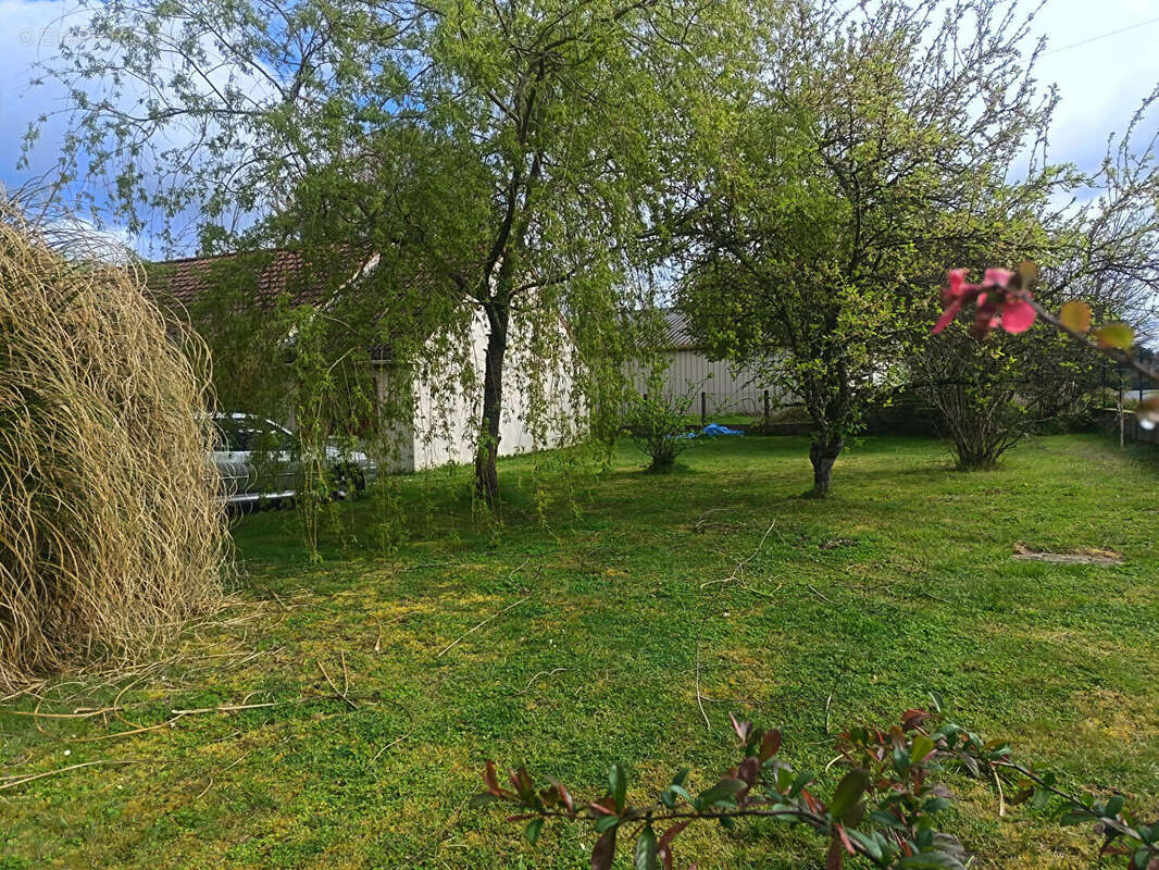 Maison à SELLES-SUR-CHER