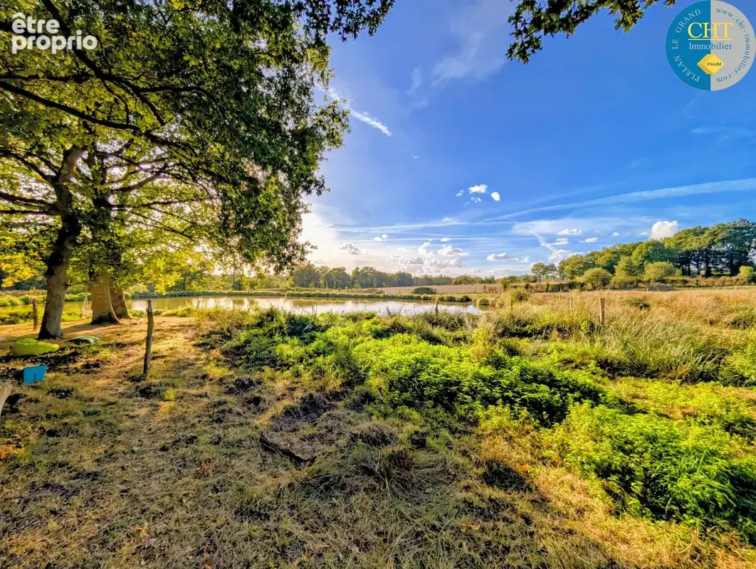 A vendre ÉTANG ET SOURCE sur parcelle d'1,50 hectare À MERNEL (35330) AVEC CHT IMMOBILIER - photo 8