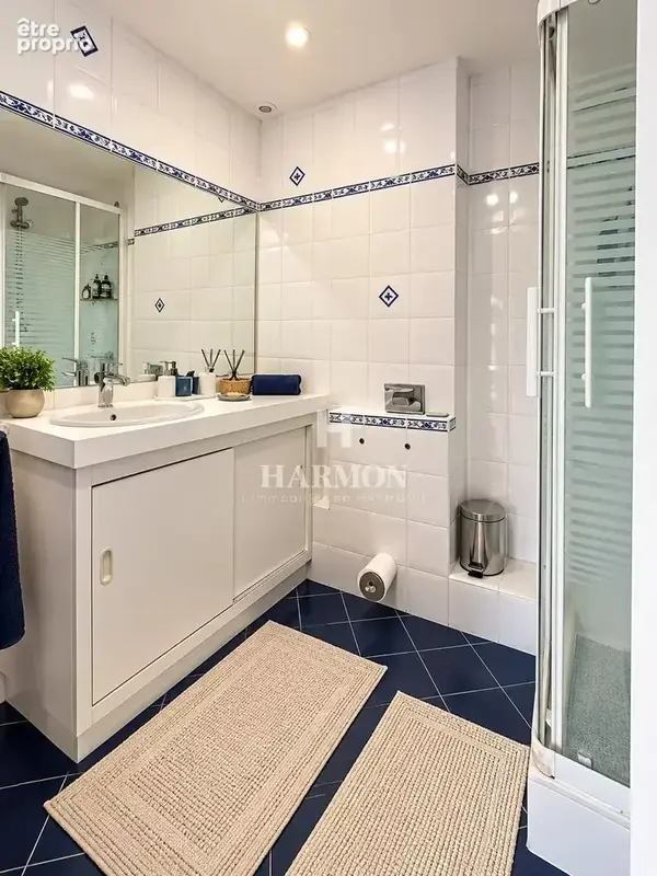 HARMON A VENDRE : Appartement de charme avec deux grandes terrasses à Salies-de-Béarn - photo 10