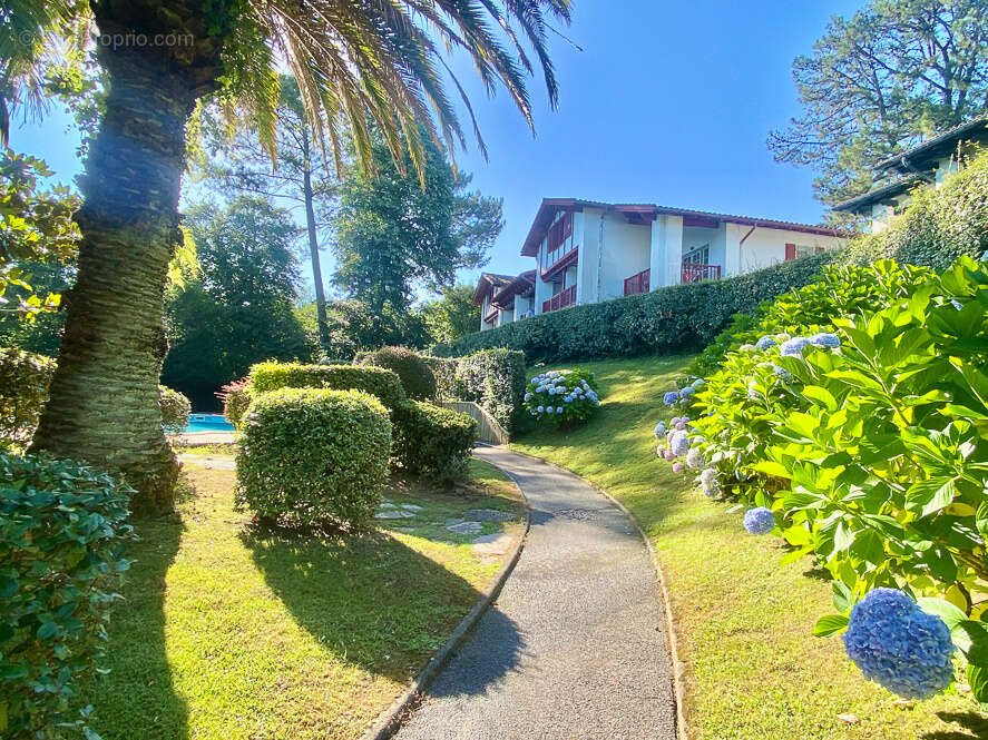 Appartement à CIBOURE