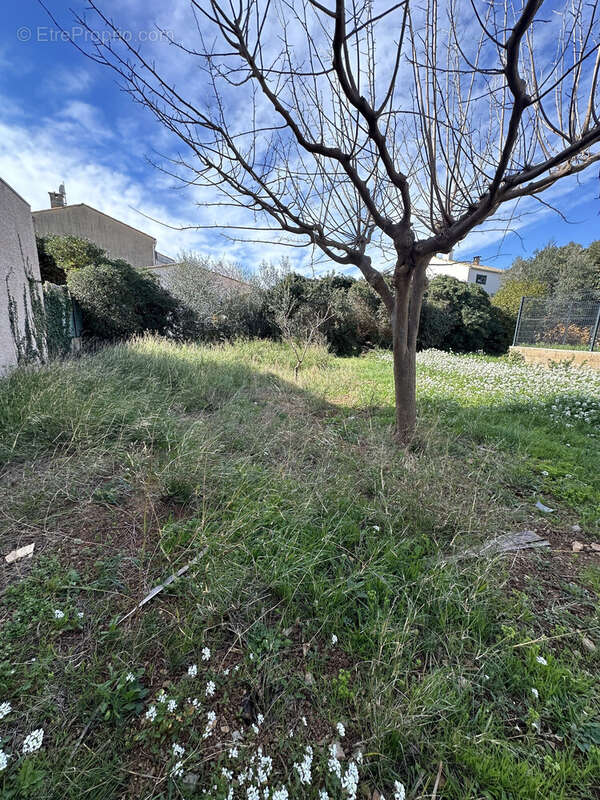 Terrain à FRONTIGNAN