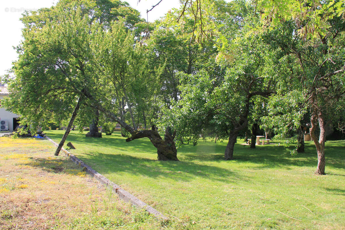 Maison à SAINT-FORT-SUR-GIRONDE