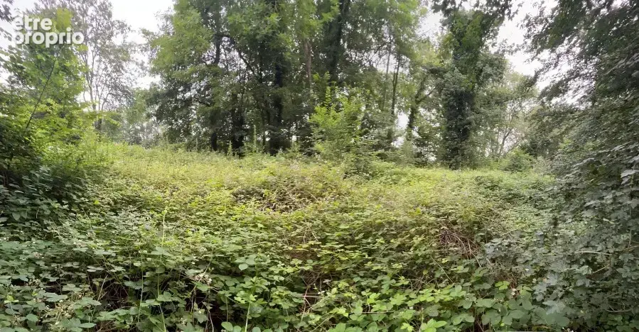 Terrain à CRAVENT
