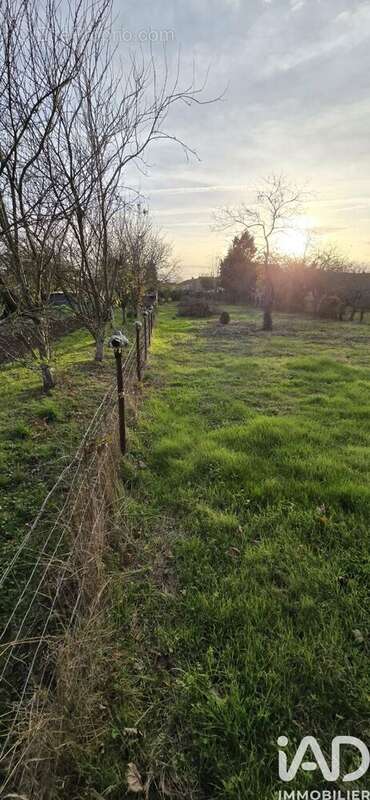 Photo 2 - Terrain à CEAUX-EN-COUHE