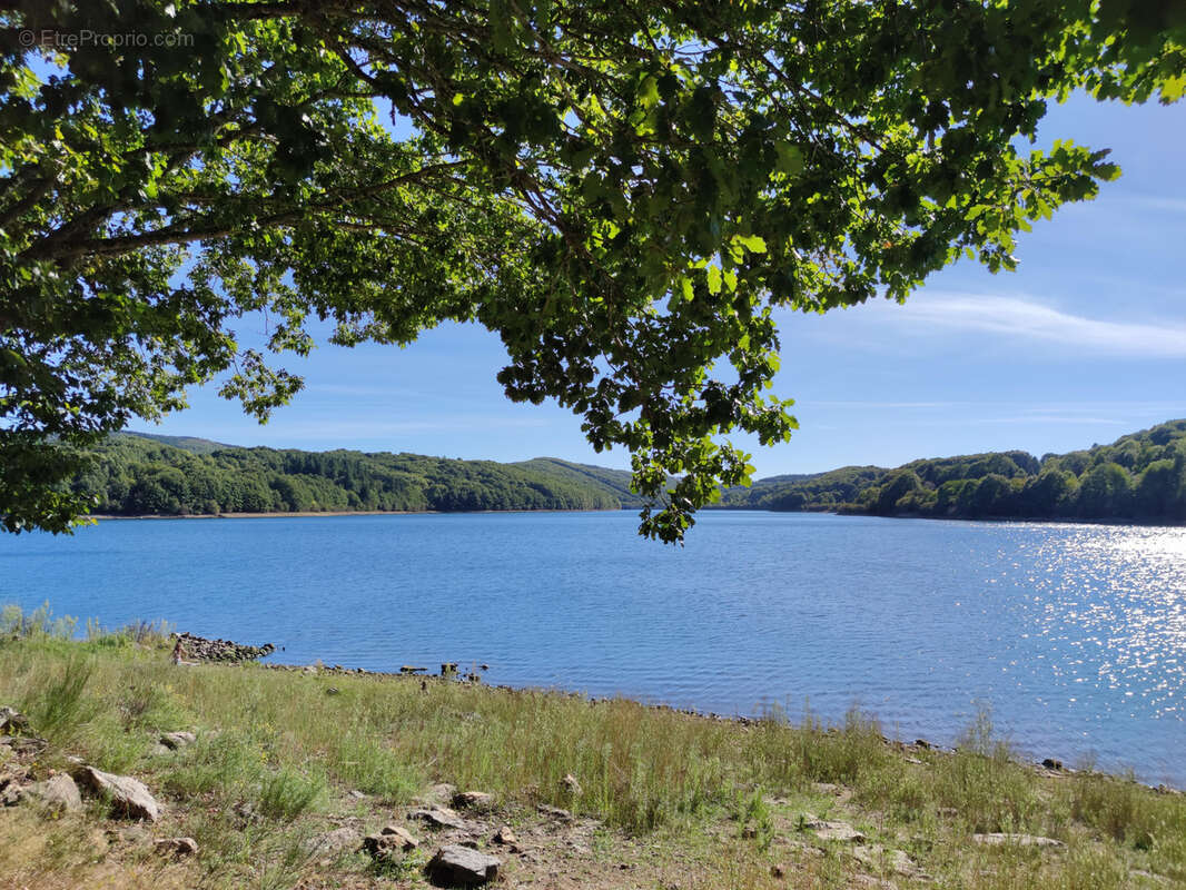 Terrain à LA SALVETAT-SUR-AGOUT
