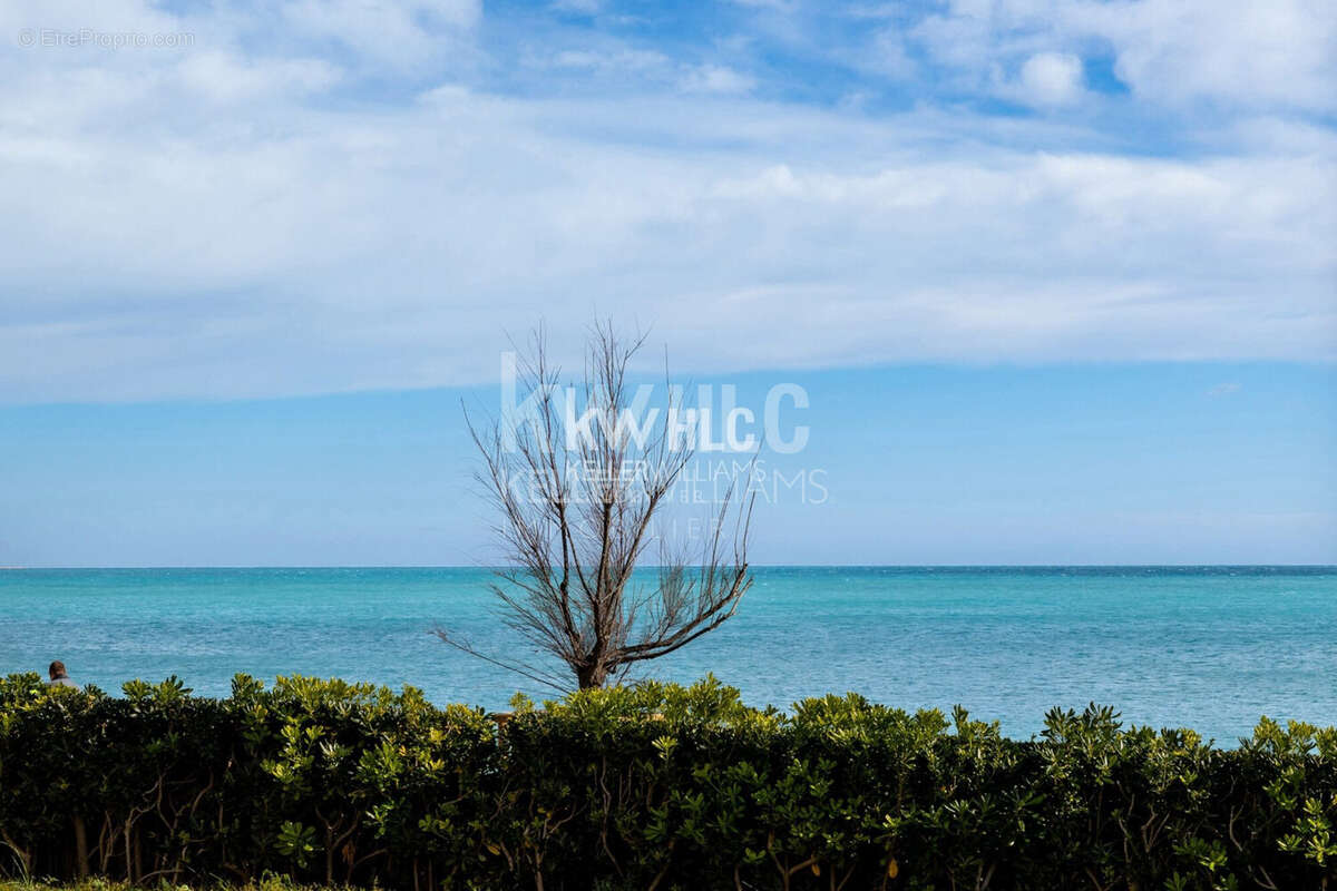 Appartement 37 m² à Villeneuve-Loubet  - photo 7