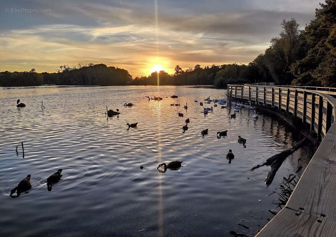 Appartement à VIRY-CHATILLON