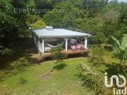 Photo 1 - Maison à RIVIERE-PILOTE