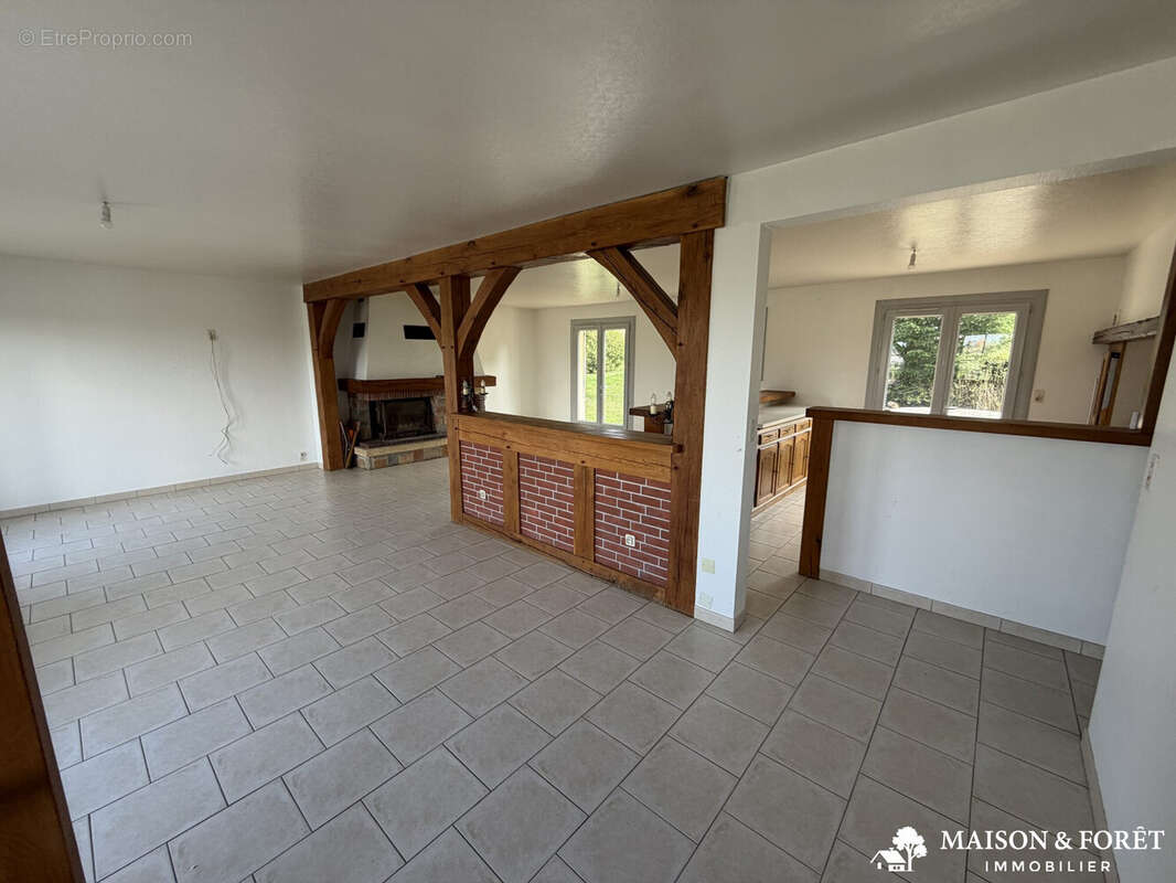 Maison à OUZOUER-SUR-TREZEE