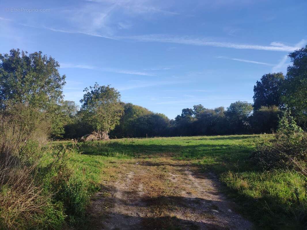 Terrain à LASSY