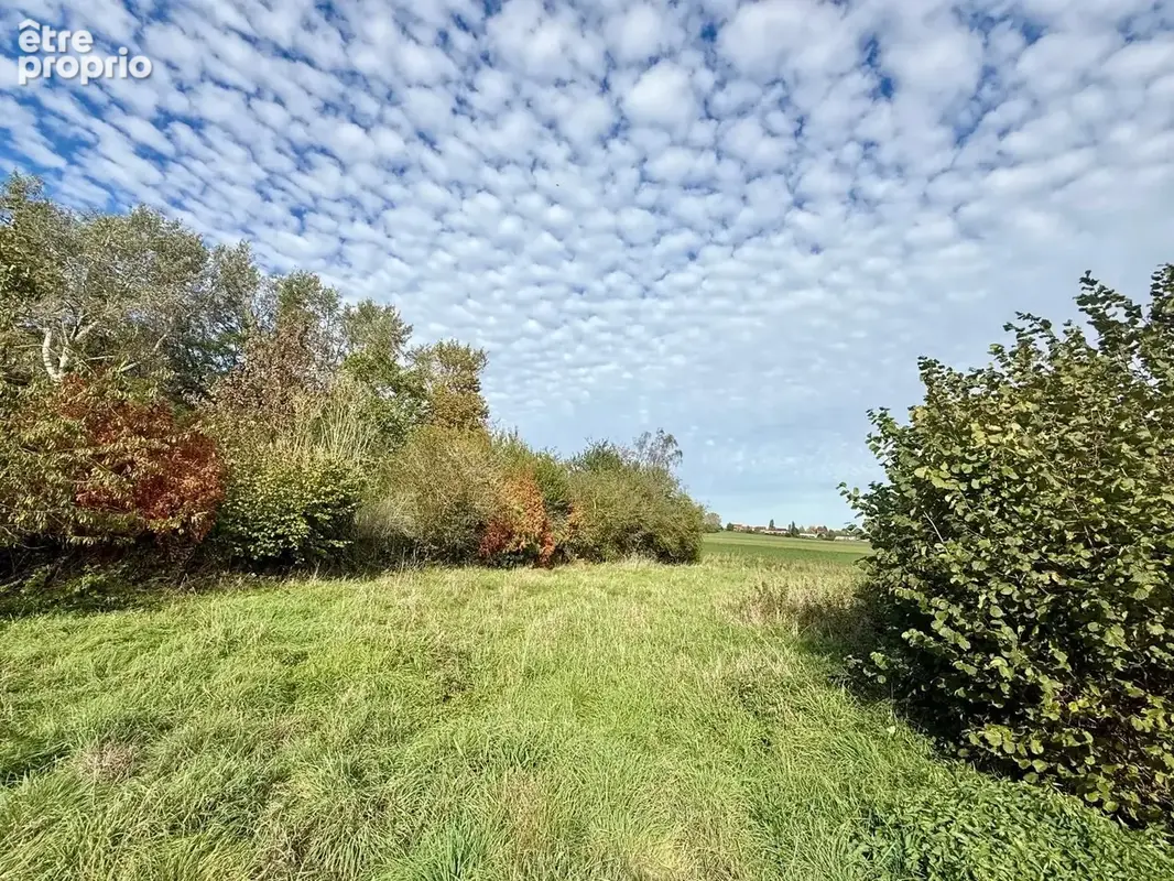 Terrain 880 m² à vendre à Leforest (62790) - photo 2