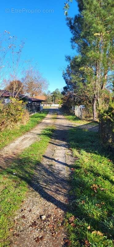 Photo-2024/120641-1-4 - Terrain à LE BARP