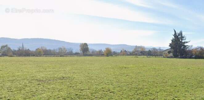 Terrain à MARTRES-TOLOSANE