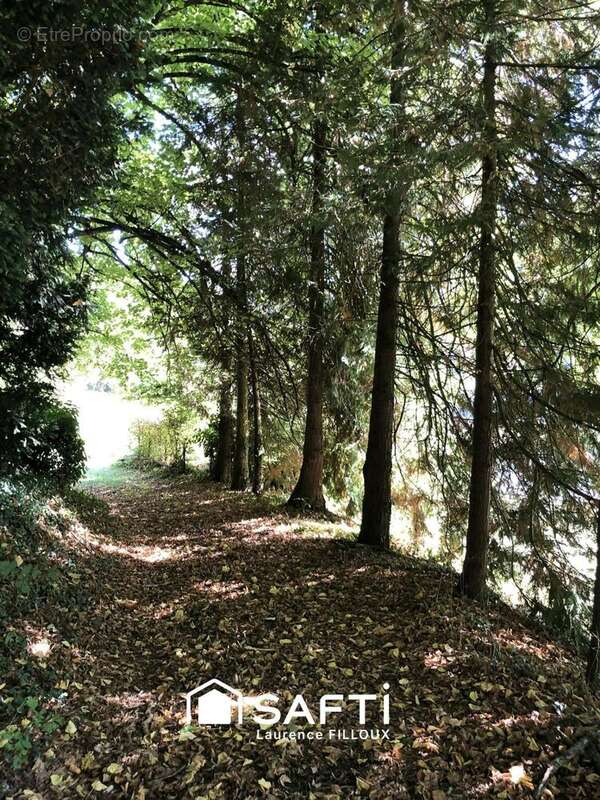 Photo 3 - Maison à BESSE-SUR-BRAYE