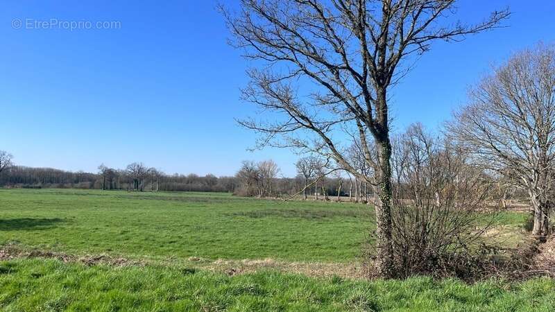 Terrain à SAINT-BRICE-EN-COGLES