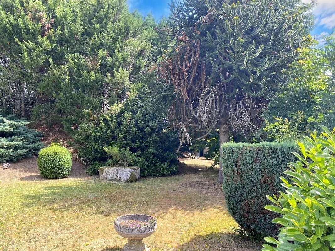 Belle maison familiale avec grand jardin à Bellac - photo 2