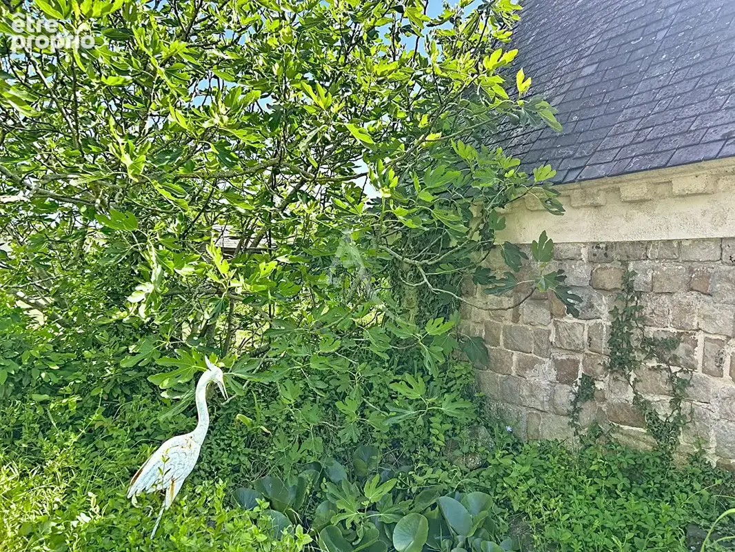 Maison Seiches Sur Le Loir 10 pièces 229 m2 - photo 5