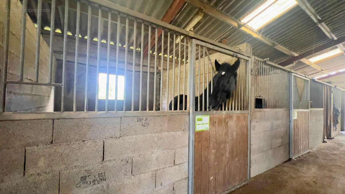 Photo 8 - Maison à FLEURANCE