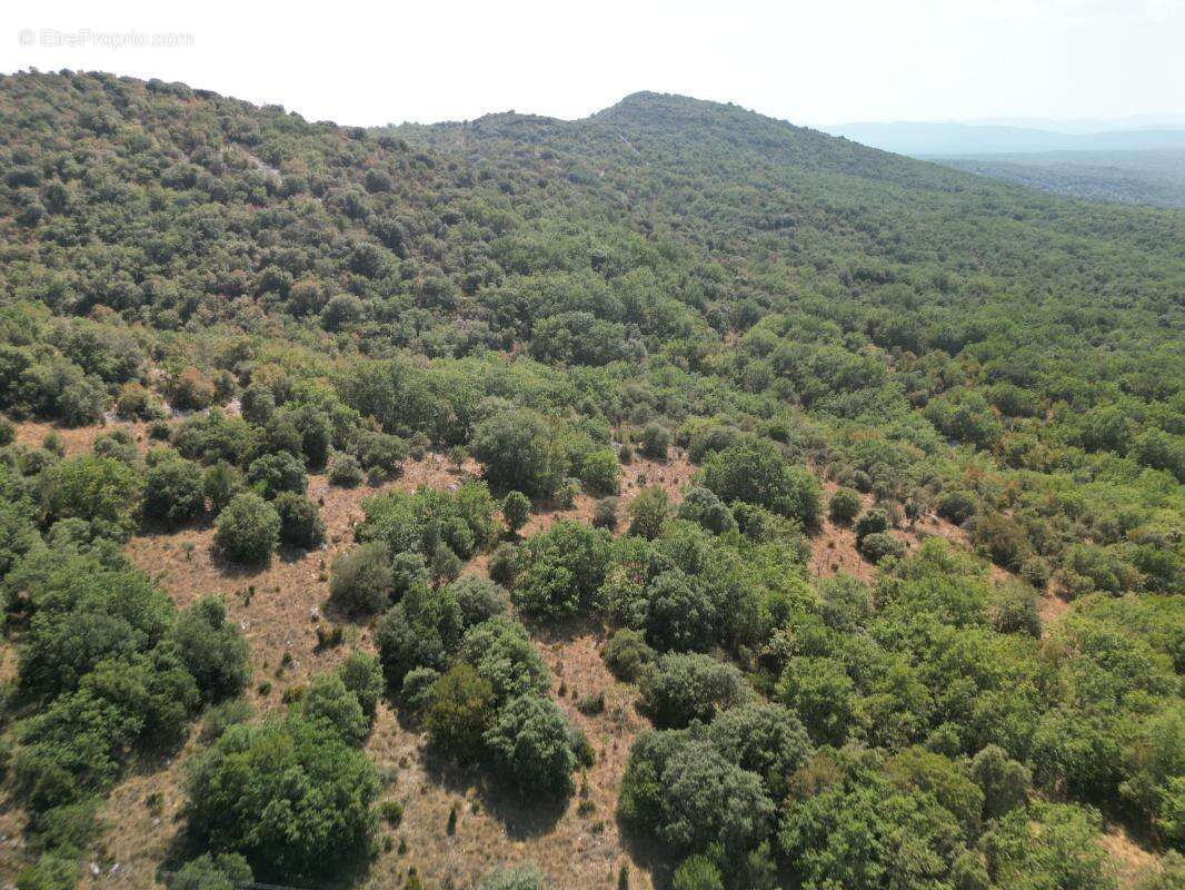 Terrain À Vendre - photo 3