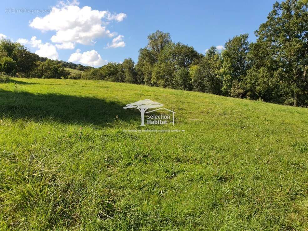 Terrain à SAINT-CHRISTOPHE-VALLON