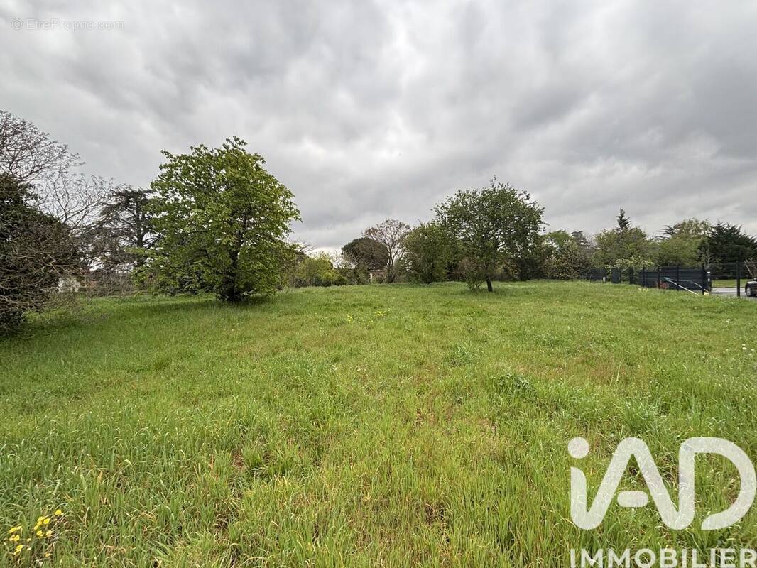 Photo 1 - Terrain à TOULOUSE