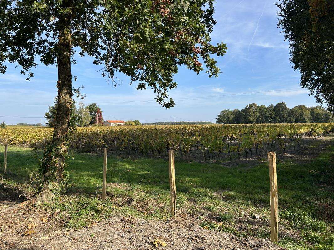 Terrain à LA HAIE-FOUASSIERE